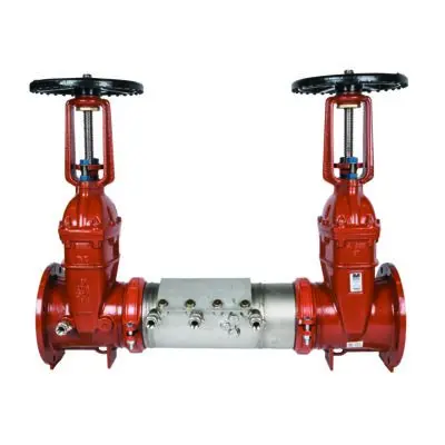 BF12 W-W1111-G(B4)ME (DIbody, 316disc) W-W1111-G DN300 (WATTS - 61100751)