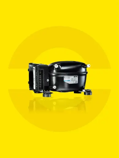 BD Micro